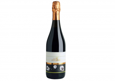 Lambrusco DOC Organic