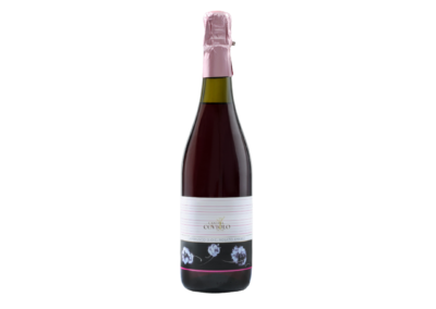 Reggiano DOC – Lambrusco rosè sweet