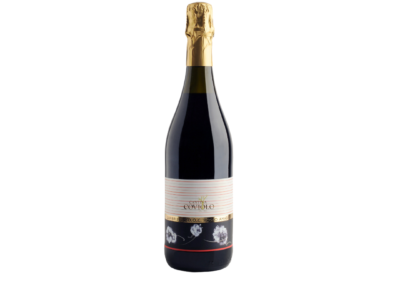 Reggiano DOC – Coviolo Winery