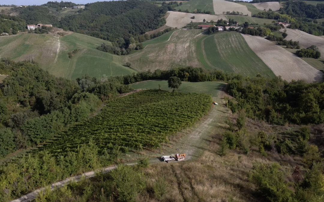 Azienda Agricola Bertacchini