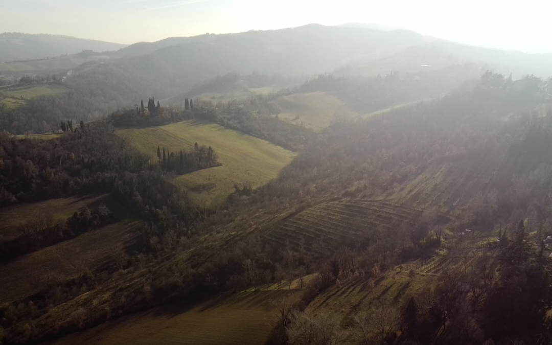 Azienda Agricola Tirelli