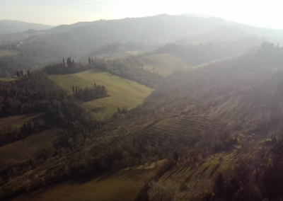 Azienda Agricola Tirelli