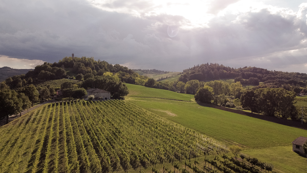 Podere Corradini
